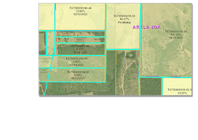 A zoomed in section of an Esri ArcGIS map with various spatial data overlayed onto land parcels